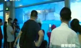 蓬莱新闻爆料事件视频,视频揭露惊人真相