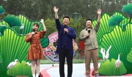 阜宁最新爆料案件新闻视频,惊人真相揭露，视频揭秘事件全貌